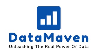 Data Maven